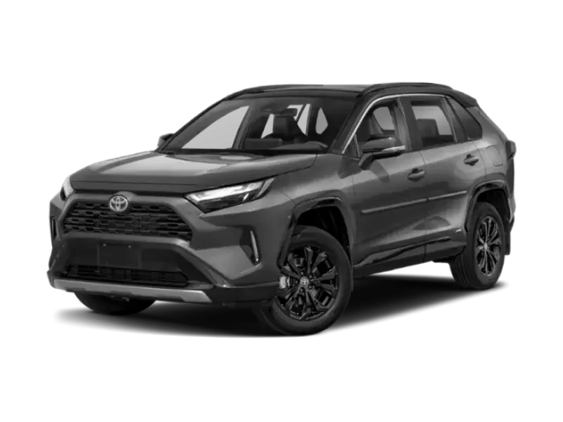 Toyota-RAV4-DESATURATED